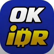 OKIDR - Aplikasi Chat Encrypted Terpercaya untuk Komunikasi Aman